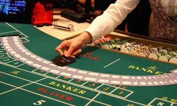 toto macau4d user Mobile user and Brand